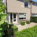 Profielplaatje van Schopenhauerstraat 7